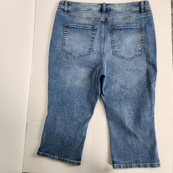 NWT Lane Bryant High-Rise Signature Fit Blue Pedal Jeans Size 16 - Picture 4 of 11